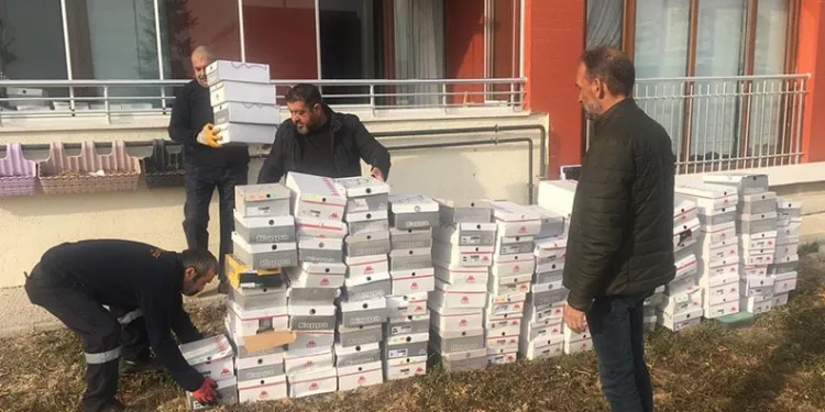 Bilecik’te ‘Sancak 2 Operasyonu’: 1 kişi tutuklandı