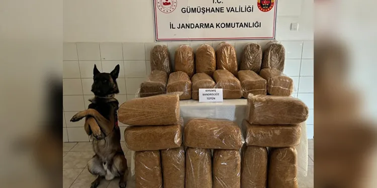 Düzce’de son 1 haftada 66 kişi hakkında uyuşturucudan işlem yapıldı