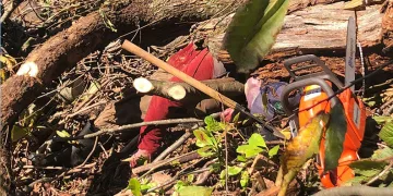Menteşe’de orman yangını, söndürme çalışmaları sürüyor