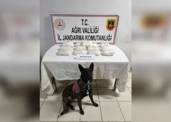 Otobüste yolcunun yastığında metamfetamin ele geçirildi
