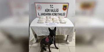 Otobüste yolcunun yastığında metamfetamin ele geçirildi