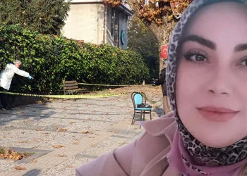 Hazine arazisinde izinsiz yer açarken yakalandı