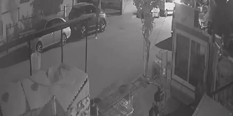 Park halindeki 13 aracın dikiz aynasını kırdı