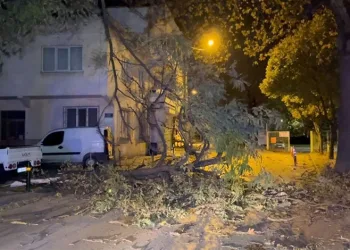 Bursa’da şiddetli rüzgar ağacı devirdi, yol kapandı