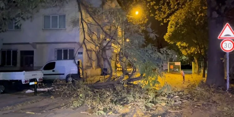 Bursa’da şiddetli rüzgar ağacı devirdi, yol kapandı