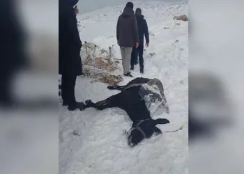 Alevlere teslim olan minibüs küle döndü