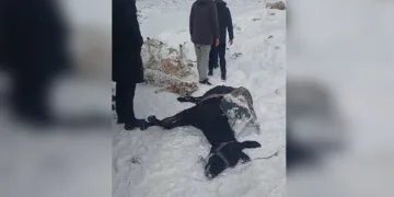 Alevlere teslim olan minibüs küle döndü