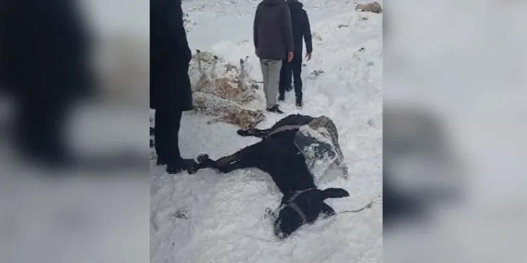 Alevlere teslim olan minibüs küle döndü