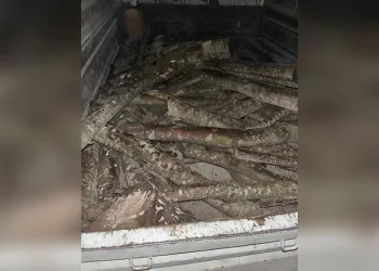 Asker eğlencesinde ses sistemi kavgası
