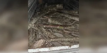 Asker eğlencesinde ses sistemi kavgası
