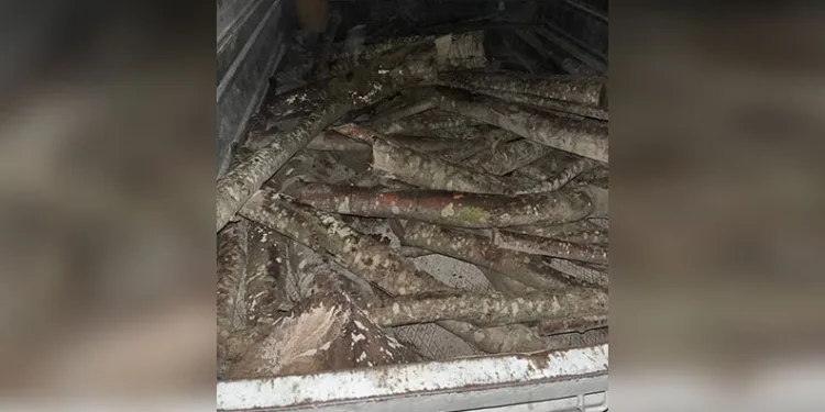 Asker eğlencesinde ses sistemi kavgası