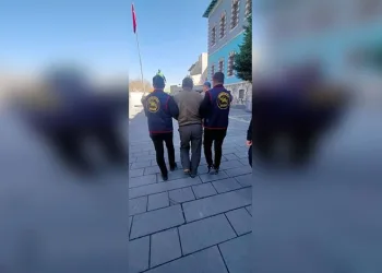 Yavru kediler varilde ölü bulundu