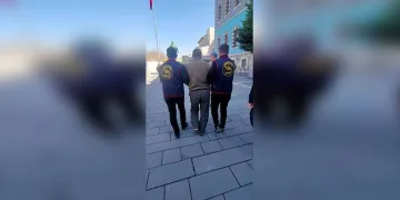 Yavru kediler varilde ölü bulundu
