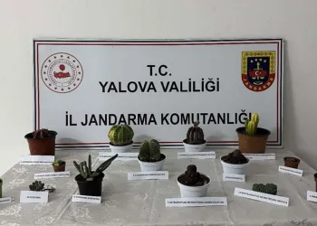 Bafra’da uyuşturucu operasyonu: 7 gözaltı