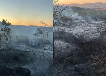 Yenişehir’de çıkan yangın kontrol altına alındı