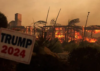 California’da orman yangını