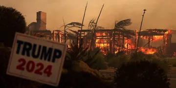 California’da orman yangını