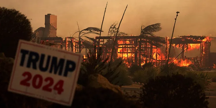 California’da orman yangını