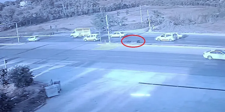 Kaskın önemini gözler önüne seren kaza