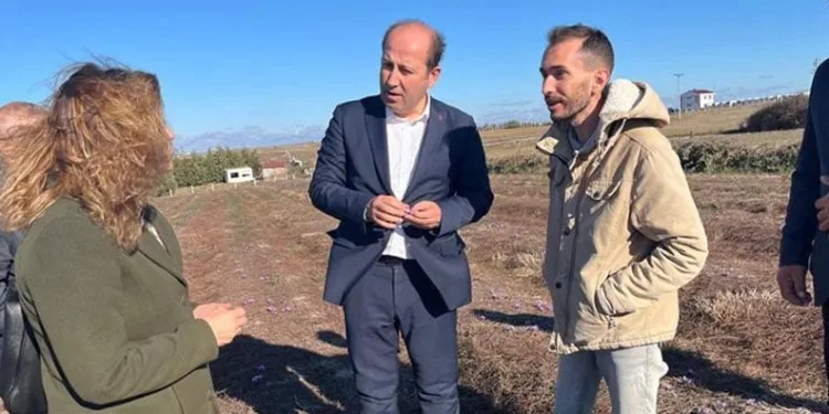 Van merkezli medyum operasyonu: 15 gözaltı