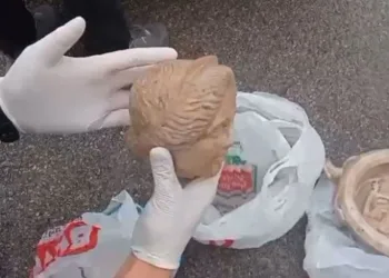 Denizdeki hayvan leşi Sahil Güvenliği alarma geçirdi