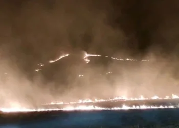 Diyarbakır’da E-MTSK sınav şebekesine ‘Cımbız’ operasyonu: 3 tutuklama