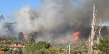Menteşe’de orman yangını, söndürme çalışmaları sürüyor