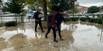 Iğdır’da kamyonet devrildi: 2 yaralı