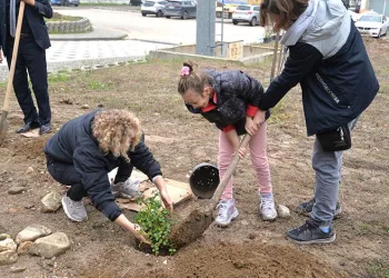 BUÜ’de ağaçlandırma çalışmaları sürüyor