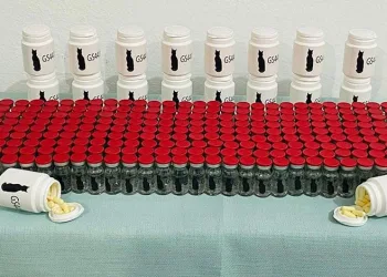 FETÖ’ye Afyonkarahisar merkezli KISKAÇ-30 operasyonu: 22 gözaltı