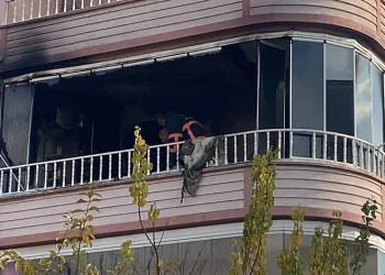 Bodrum’da 6’sı çocuk 16 düzensiz göçmen yakalandı