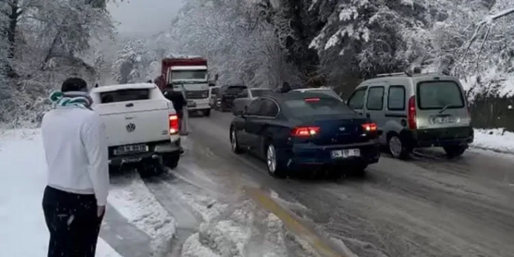Bursa’da kar yağışıyla hayat durdu…İlçe yolları kapandı