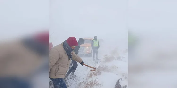 Tipi nedeniyle mahsur kalan çoban ve hayvanları ekipler tarafından kurtarıldı