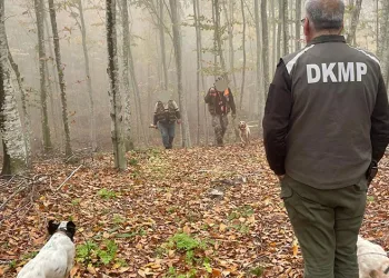 Bursa’da kaçak avlanan kişilere ceza yağdı