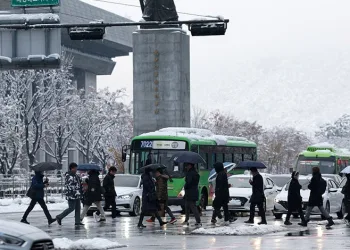 Güney Kore’de kar fırtınasında can kaybı 4’e yükseldi