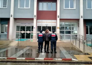Aydın’da 8 ton sahte sahte zeytinyağı ele geçirildi
