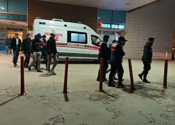 Bursa’da 11 kaçak göçmen jandarmadan kaçamadı