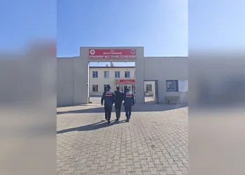 Kadıköy’de 1 ton kaçak midye ele geçirildi