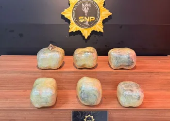 Park halindeki otomobilinde yarı çıplak halde ölü bulundu