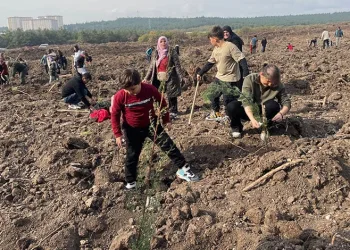Uludağ Üniversitesi’nin ormanları yeniden yeşeriyor