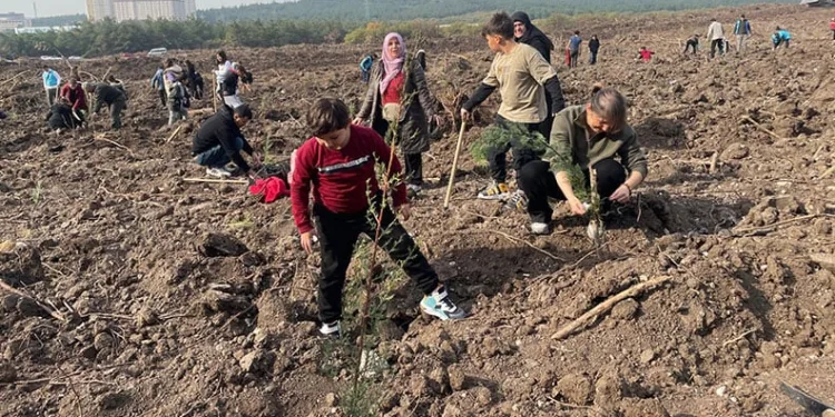 Uludağ Üniversitesi’nin ormanları yeniden yeşeriyor