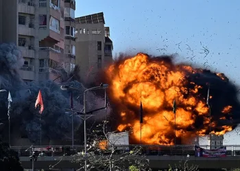 Denizdeki hayvan leşi Sahil Güvenliği alarma geçirdi