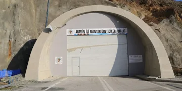 Artvin’de atıl kalan tünel mantar üretim merkezi oldu