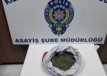 Araçların hurdaya döndüğü kazada 5 kişi yaralandı