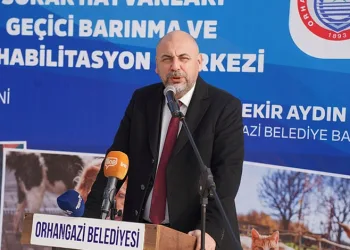 Orhangazi Belediyesi’nden sokak hayvanlarına yuva