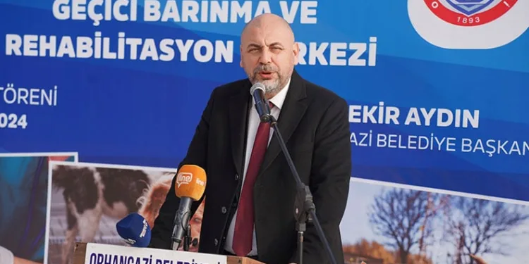 Orhangazi Belediyesi’nden sokak hayvanlarına yuva