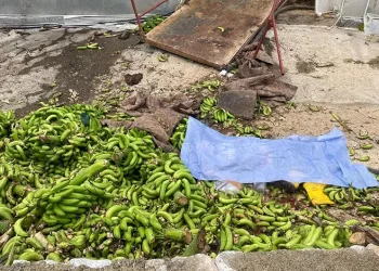 Muz serasında raylı sistemin halatı koptu: 2 ölü, 2 yaralı