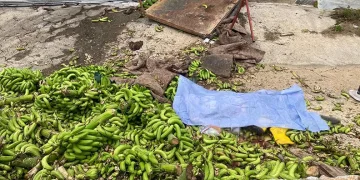 Muz serasında raylı sistemin halatı koptu: 2 ölü, 2 yaralı