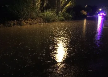 Takla atan otomobilinin kapıları zarar görmesin diye vinç getirtti