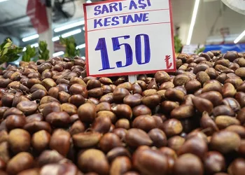 Yerli kestane pazarda yerini aldı